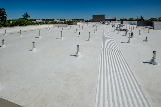 Best Asphalt Shingle Roofing  in Vine Hill, CA